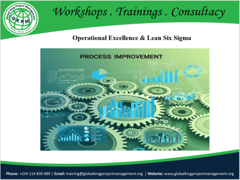 Operational Excellence and Lean Six Sigma