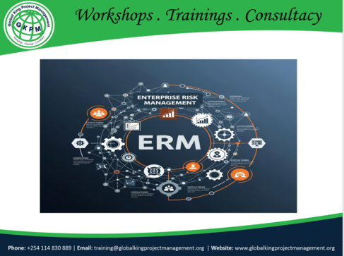 Enterprise Risk Management (ERM)